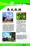 西双版纳