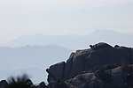 黄山