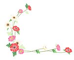 花边 1