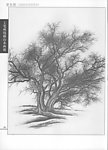 工笔画线描山水画谱树石