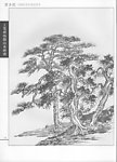 工笔画线描山水画谱树石05