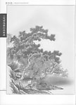 工笔画线描山水画谱树石02