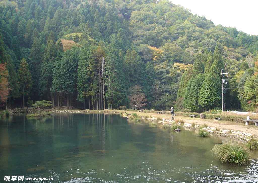 山水 河流 池塘 钓场 小溪 溪流