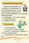 健康知识