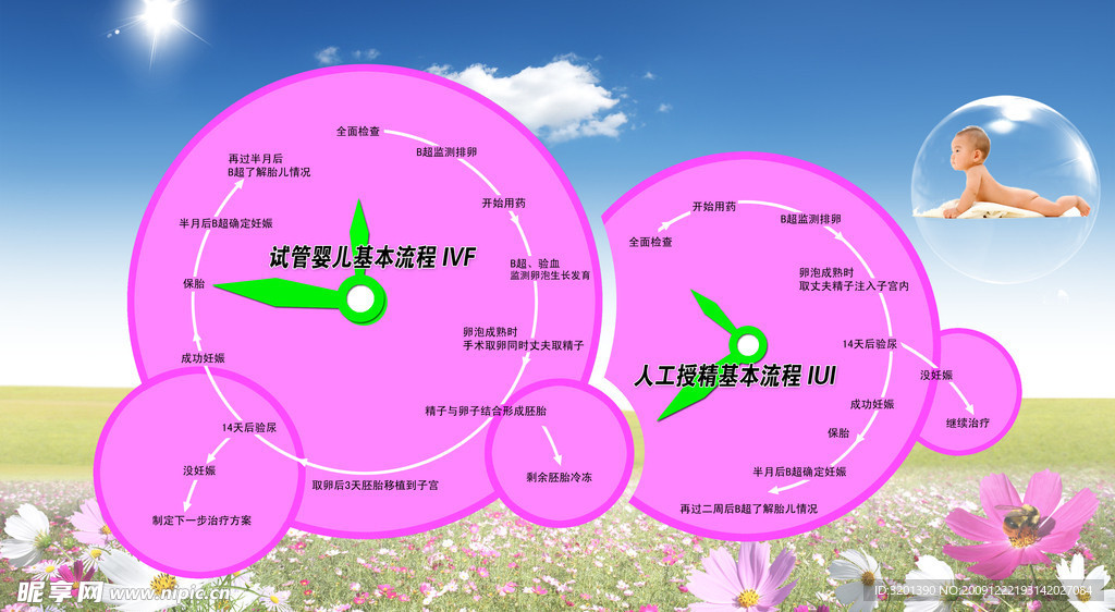 试管婴儿基本流程