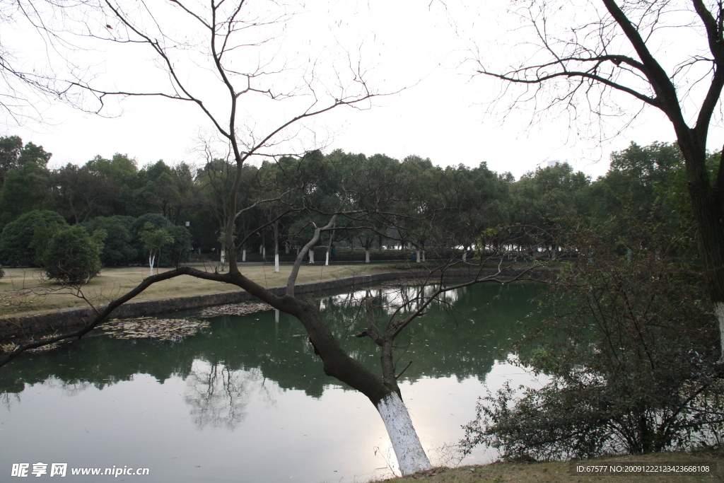 自拍的高清公园风景冬季的湖边小树