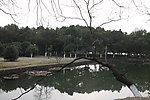 自拍的高清公园风景冬季的湖边小树