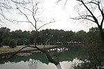 自拍的高清公园风景冬季的湖边小树