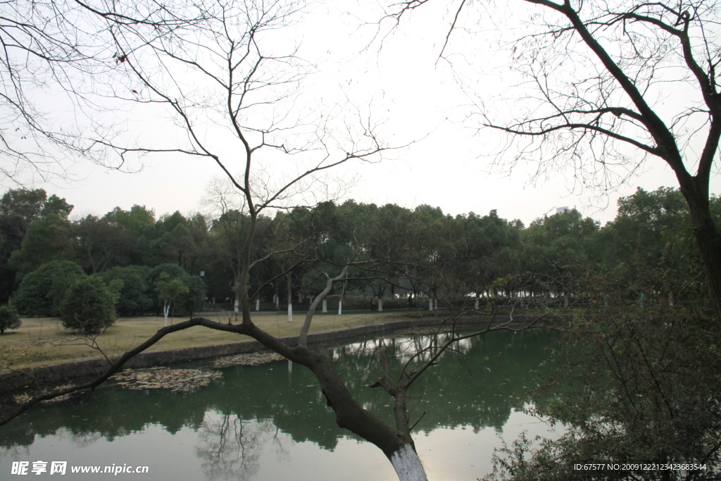 自拍的高清公园风景冬季的湖边小树