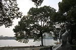 自拍的高清公园风景湖边大树