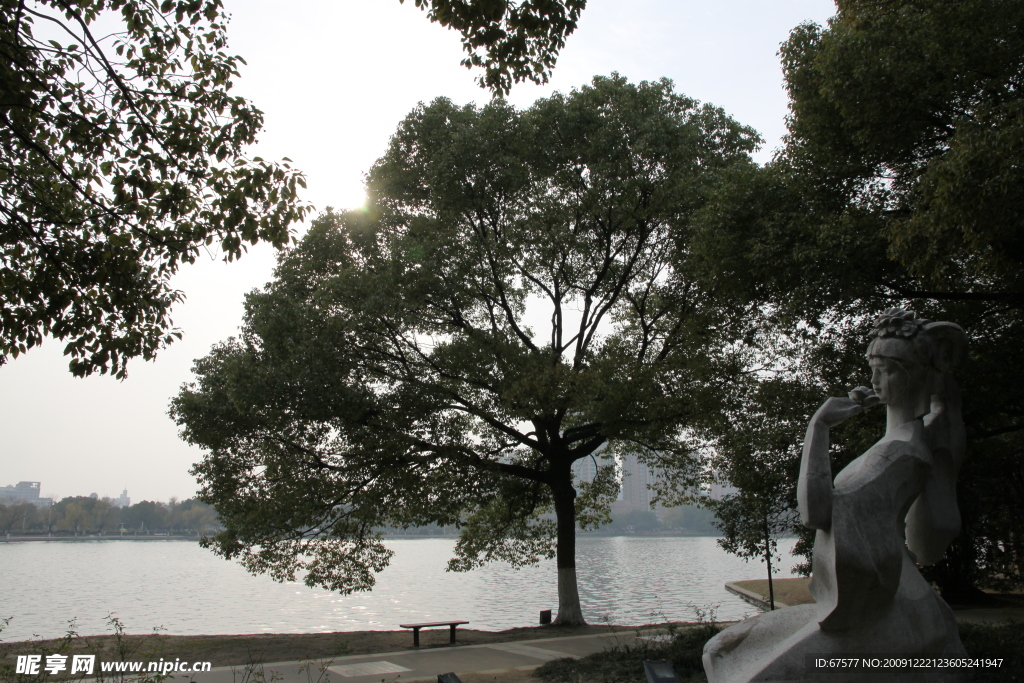 自拍的高清公园风景湖边大树
