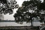 自拍的高清公园风景湖边大树