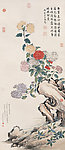 菊石图