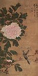 牡丹白头