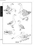 工笔画线描山水画谱 水禽