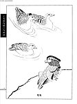工笔画线描山水画谱 水禽