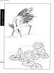 工笔画线描山水画谱 水禽