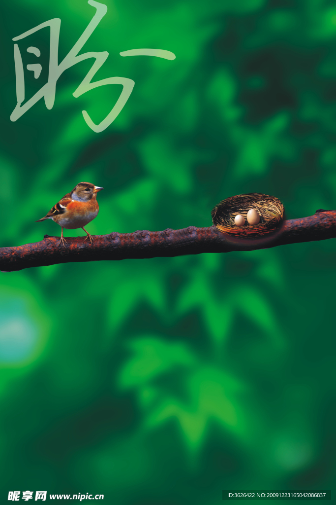 鸟 鸟窝