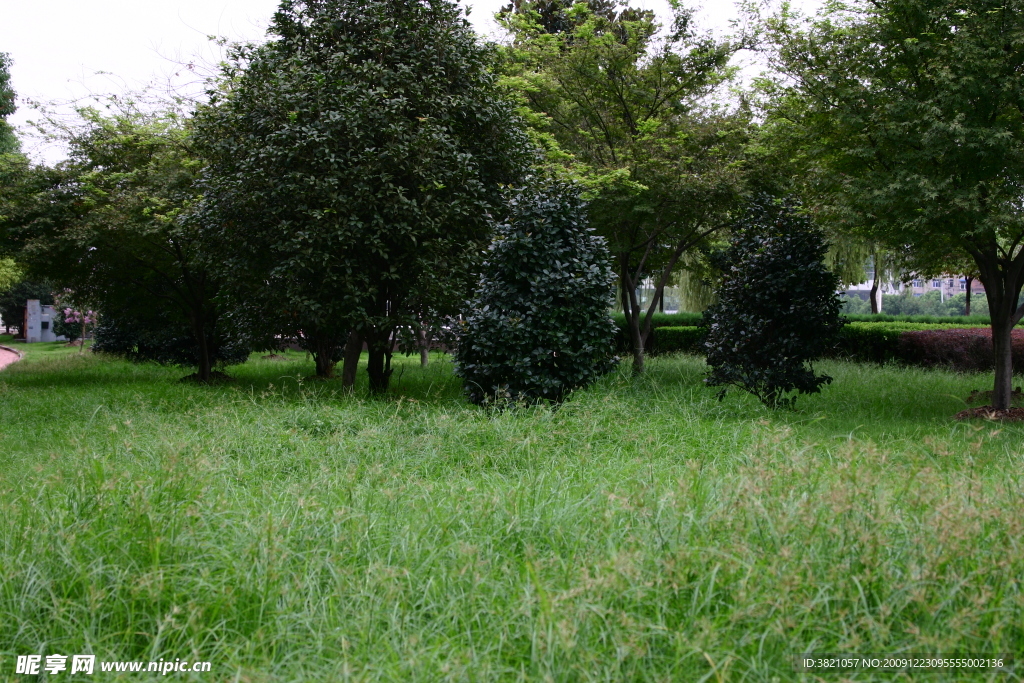 风景