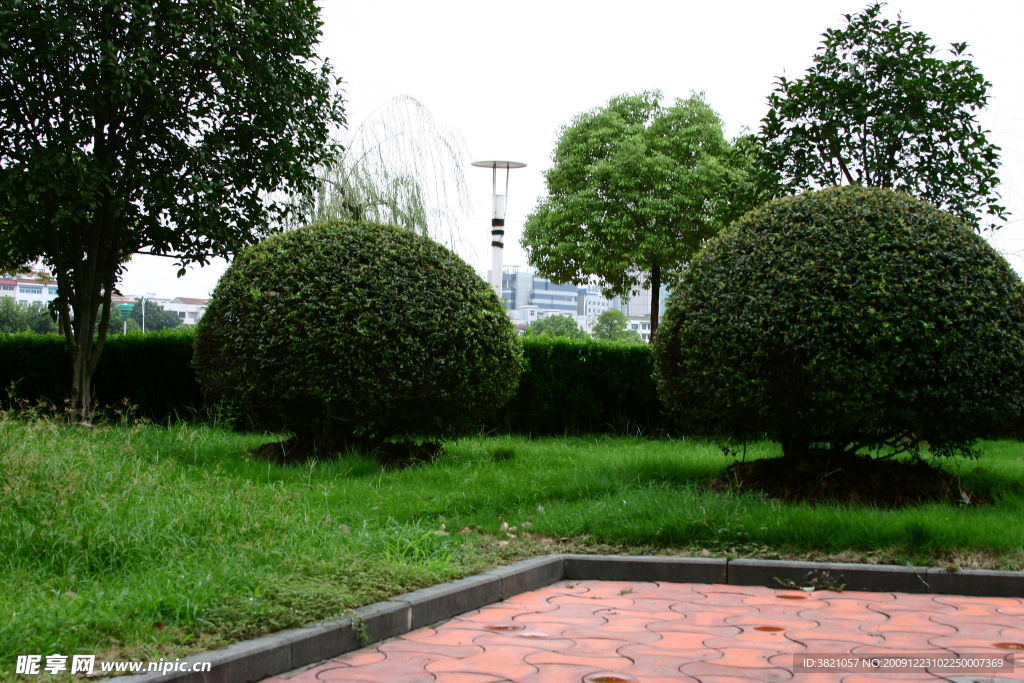 风景