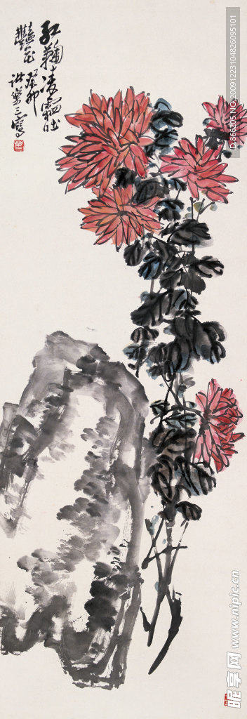 菊花