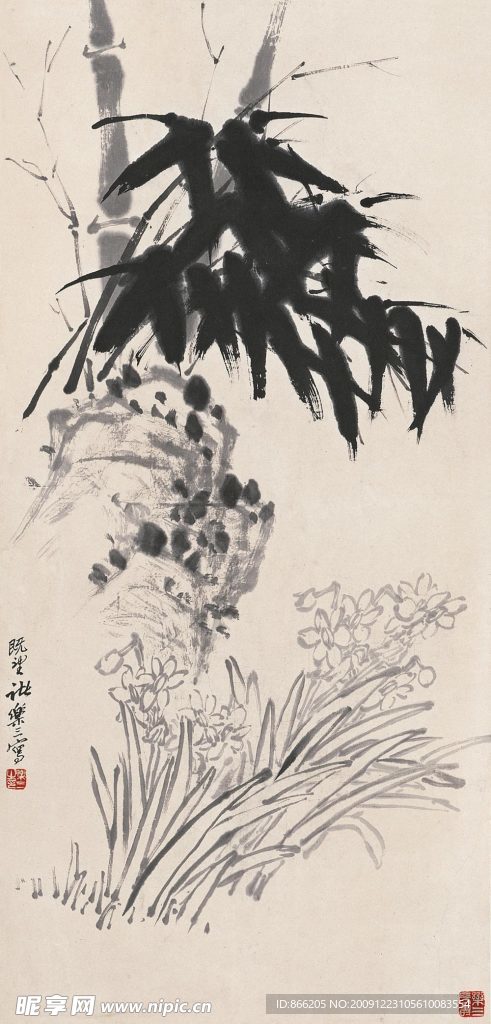 竹水仙