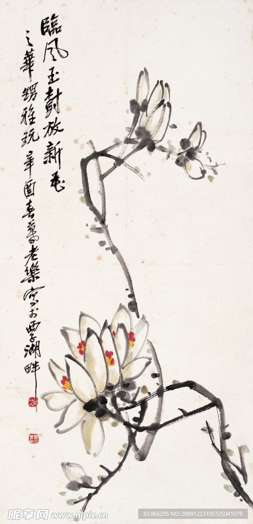 临风玉树放新花
