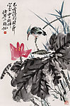 荷花小鸟