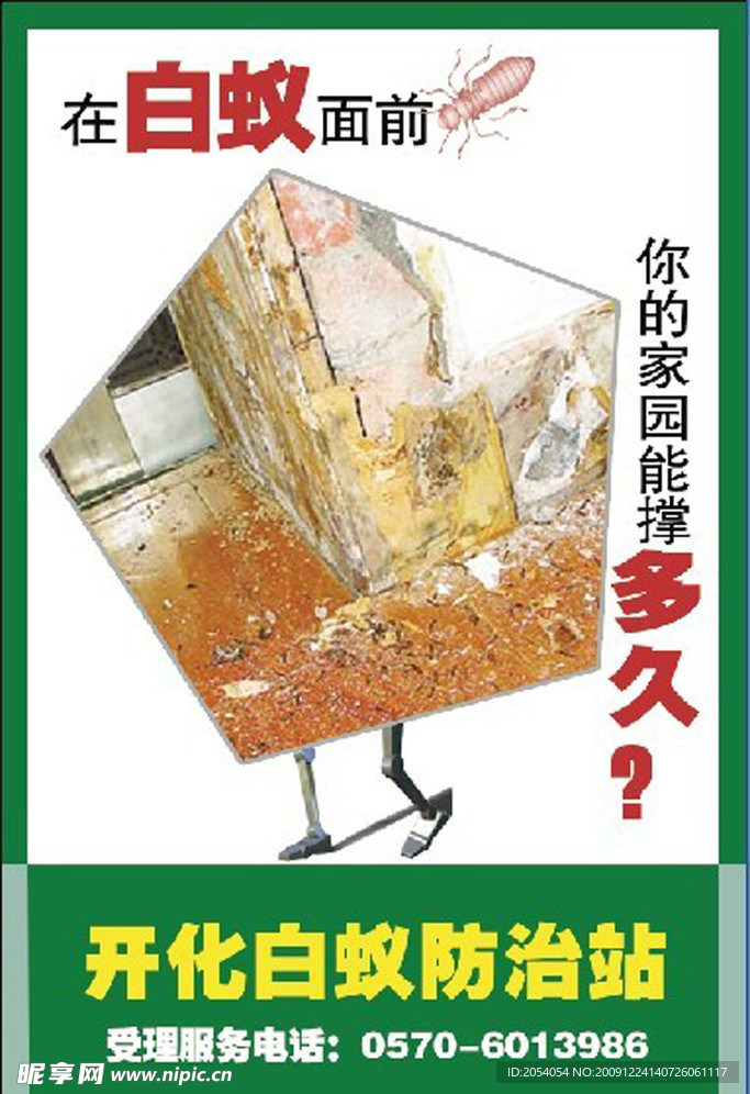 白蚁