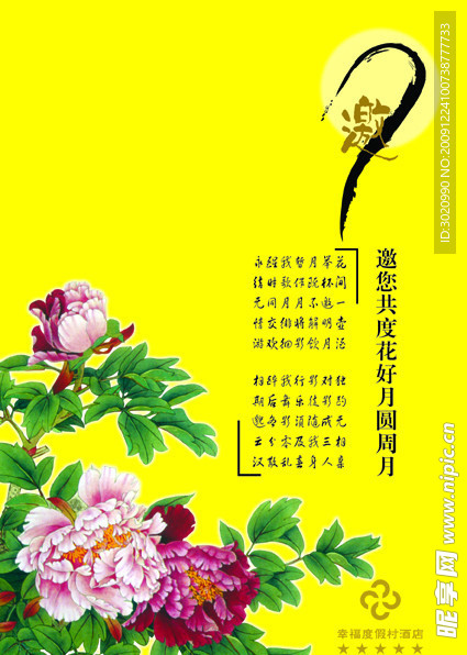 菊花 香菊 共赏 餐饮
