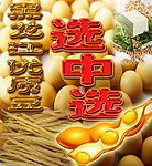 优质大豆广告