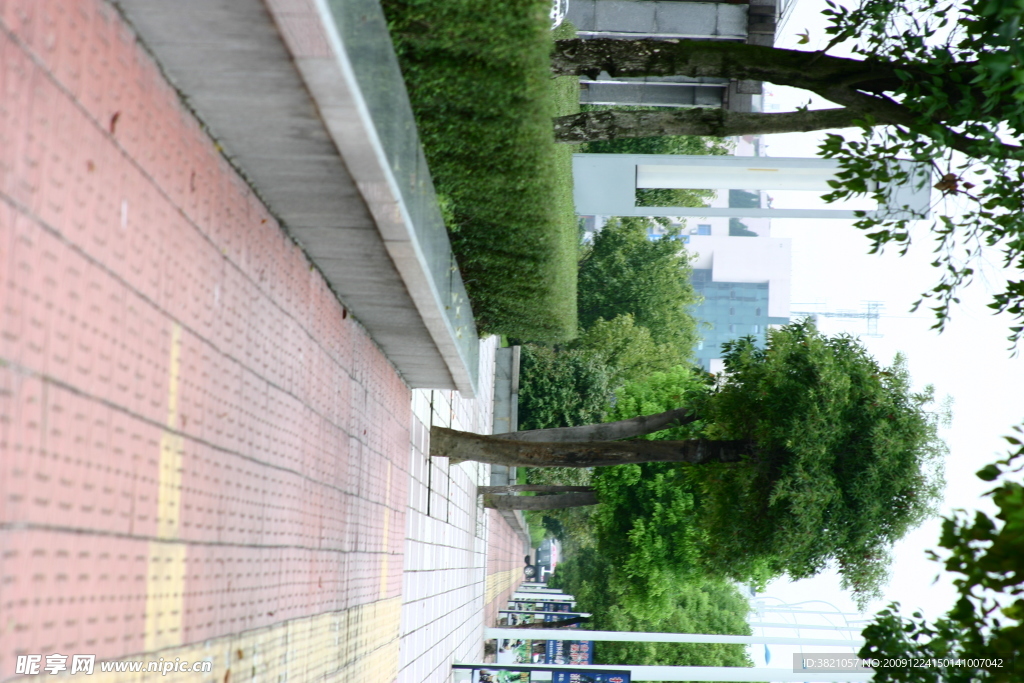 风景