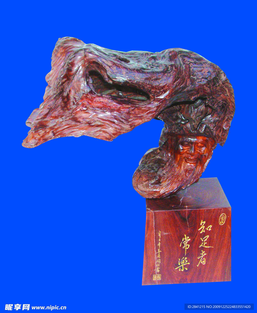 黄花犁知足常乐