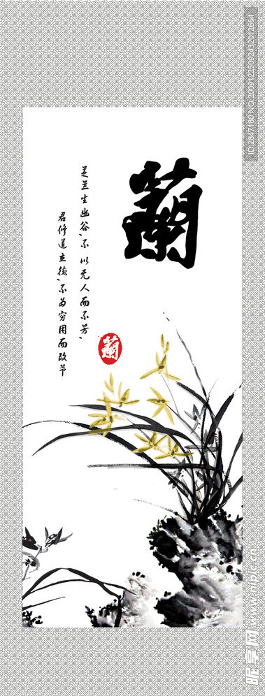 兰花