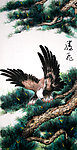 雄鹰展翅