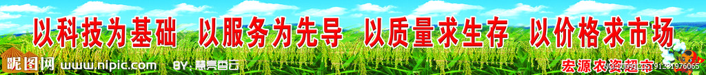 种子广告