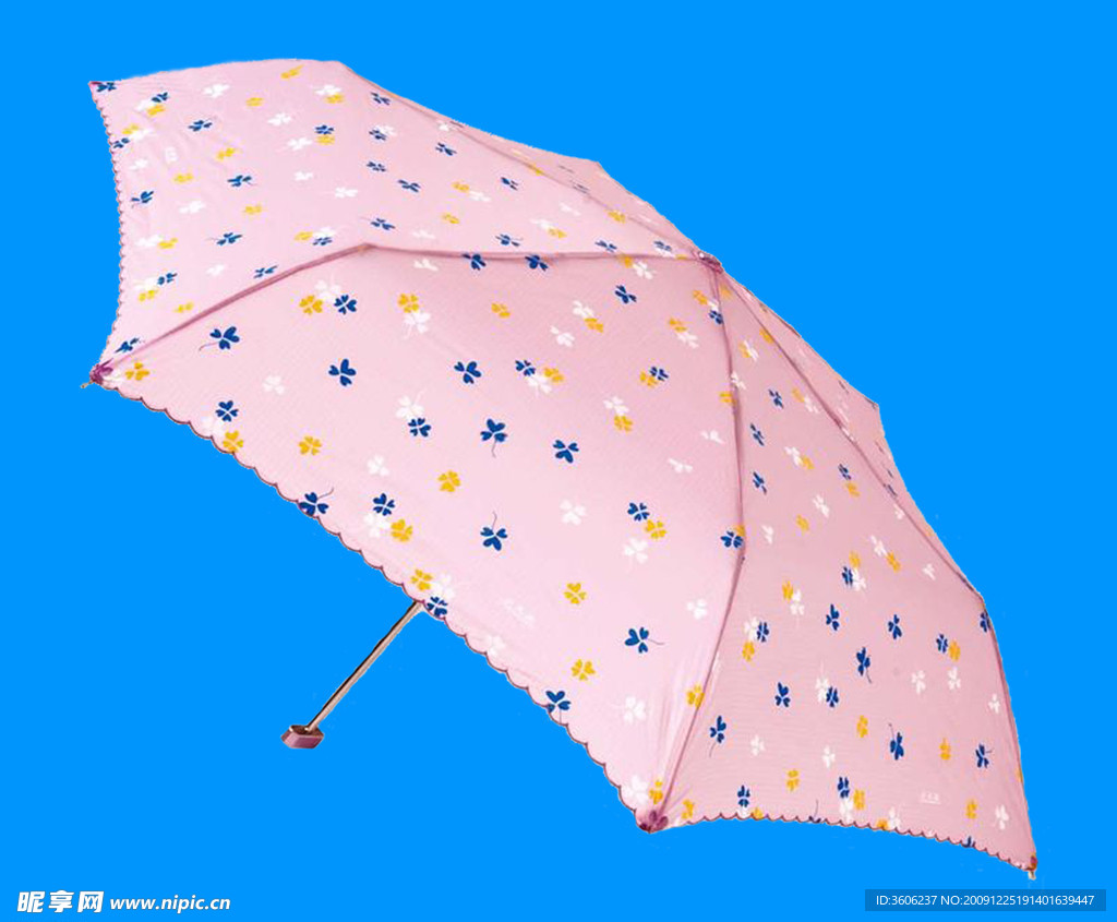 雨伞