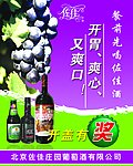 佐佳葡萄酒