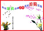 紫罗兰