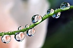 水珠