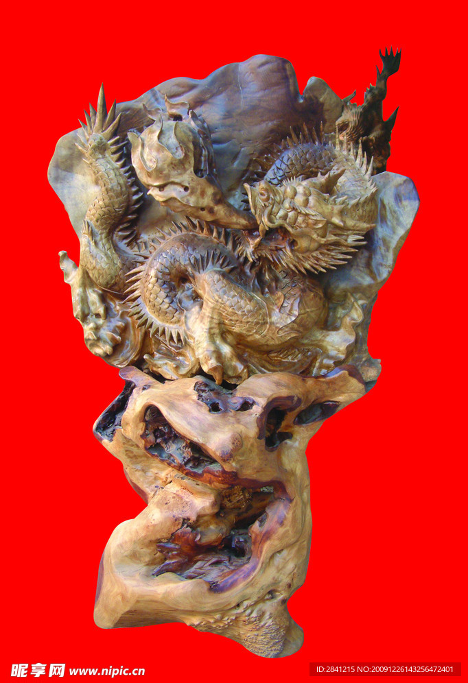 黄金樟龙