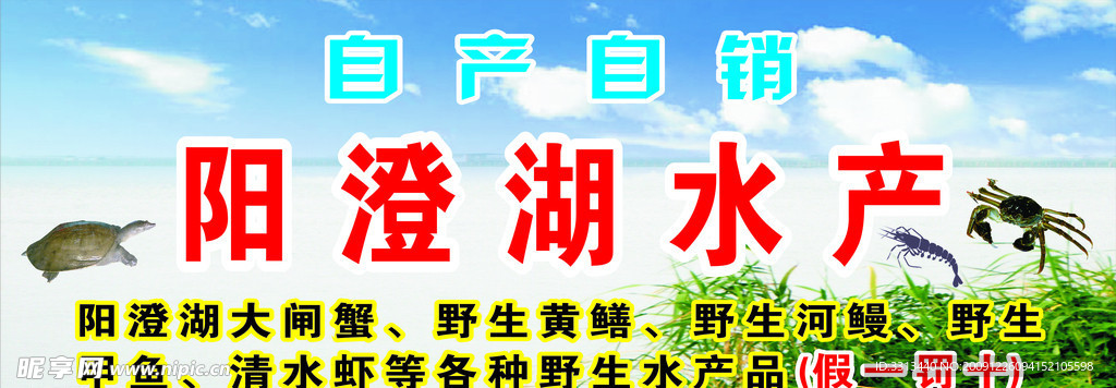 阳澄湖大闸蟹