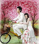 恋恋樱花开