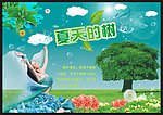 夏天的树