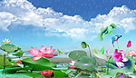 雨中荷花