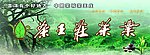 茶庄