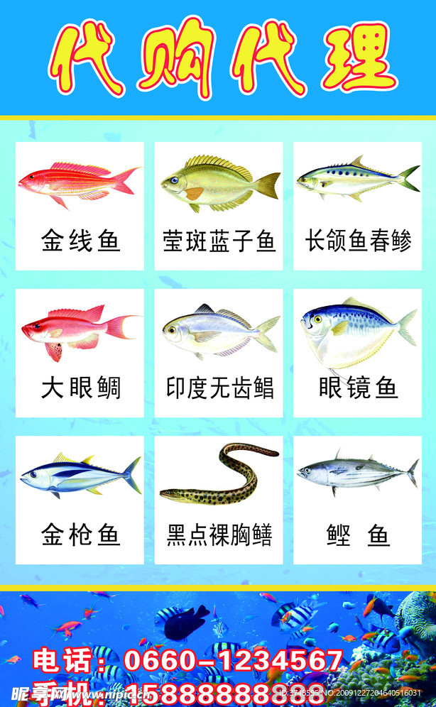 海产品(鱼)