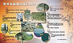 野外拓展训练简介