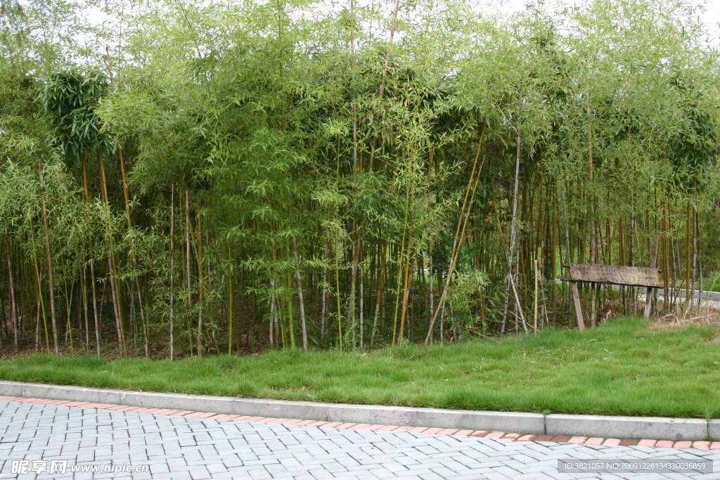 风景