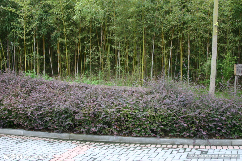 风景